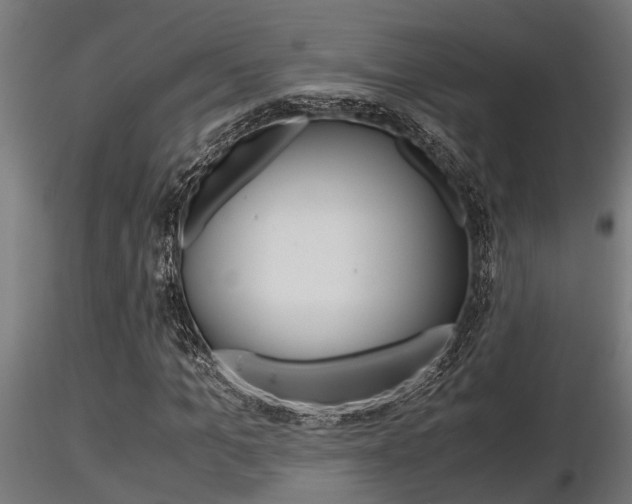 X0000116460965200912090923