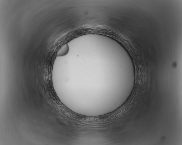 X0000116460966200912090923