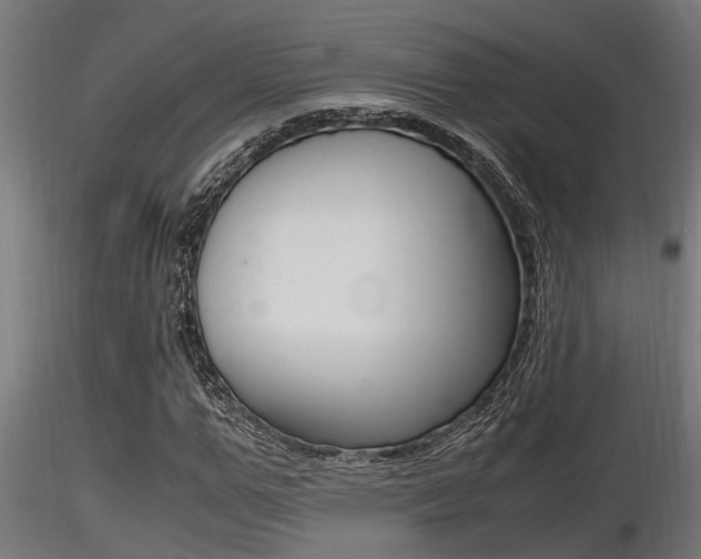 X0000116460967200912090923