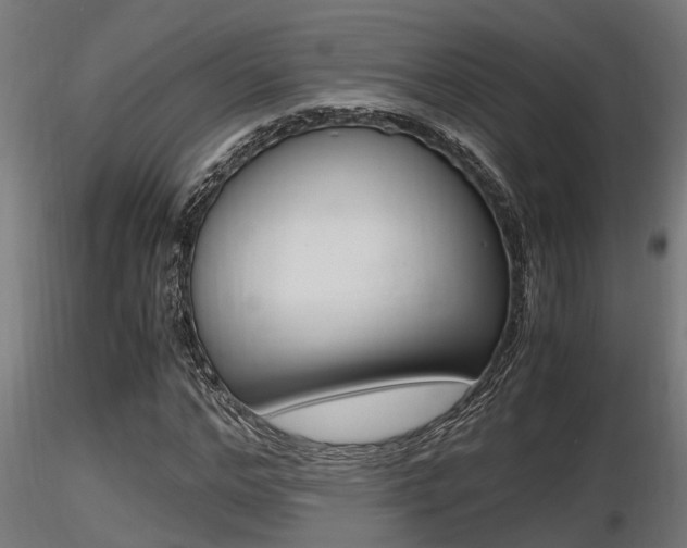 X0000116460968200912090923
