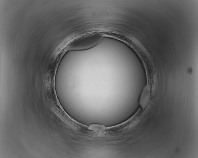 X0000116460969200912090923