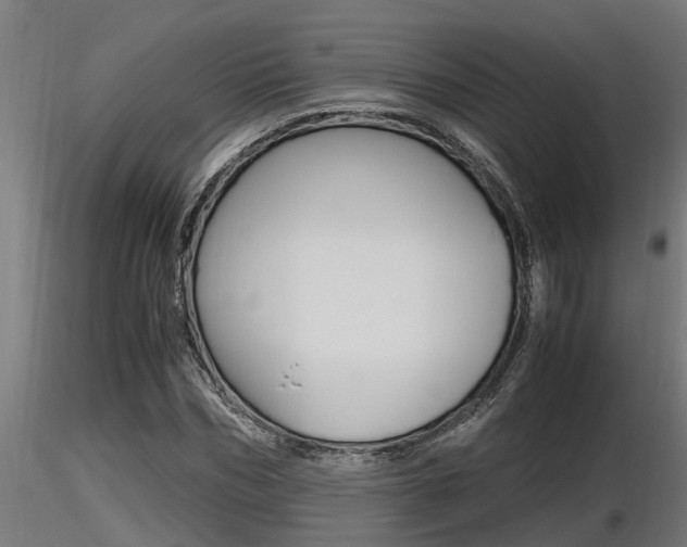 X0000116460970200912090923