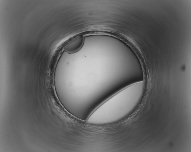 X0000116460971200912090923