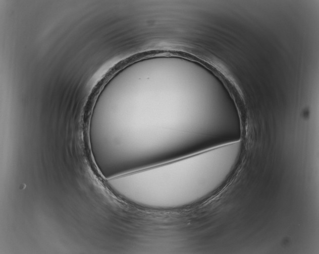X0000116460972200912090923