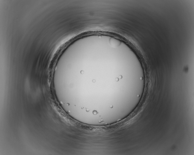 X0000116460974200912090923