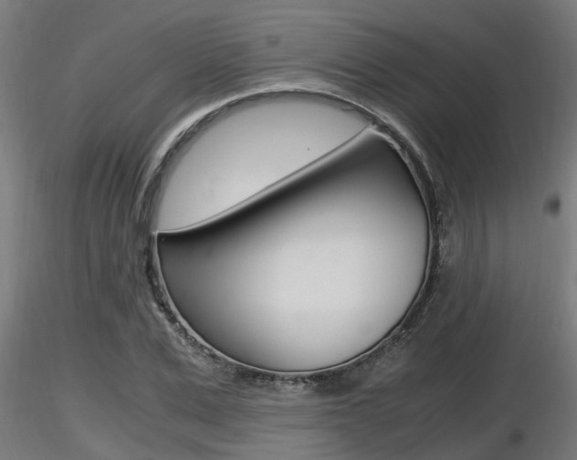 X0000116460975200912090923