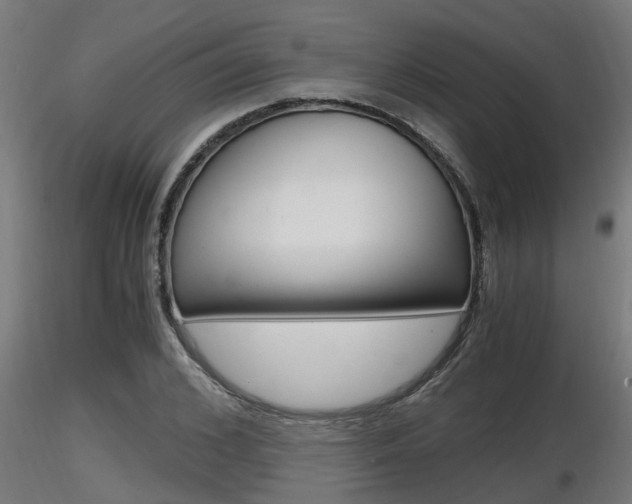 X0000116460976200912090923
