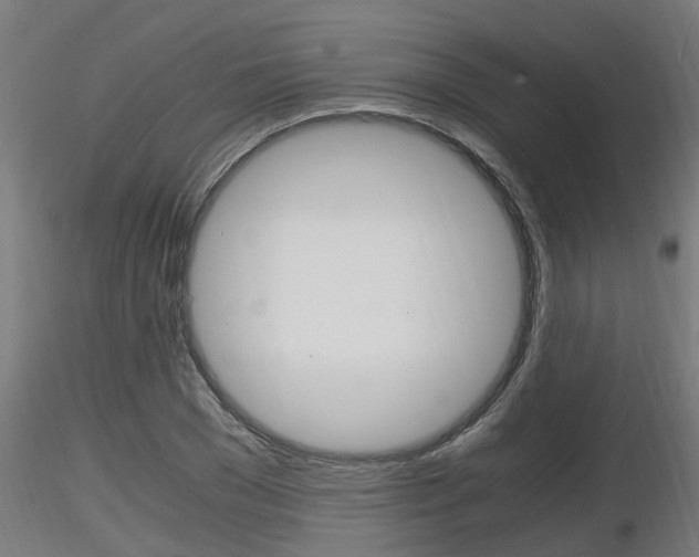 X0000116460977200912090923