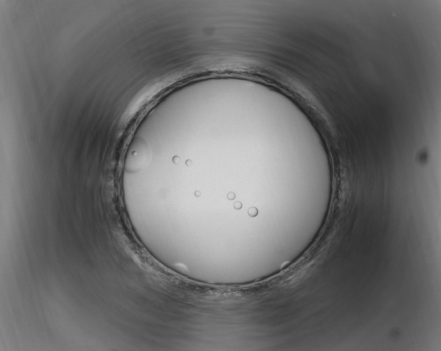 X0000116460978200912090923