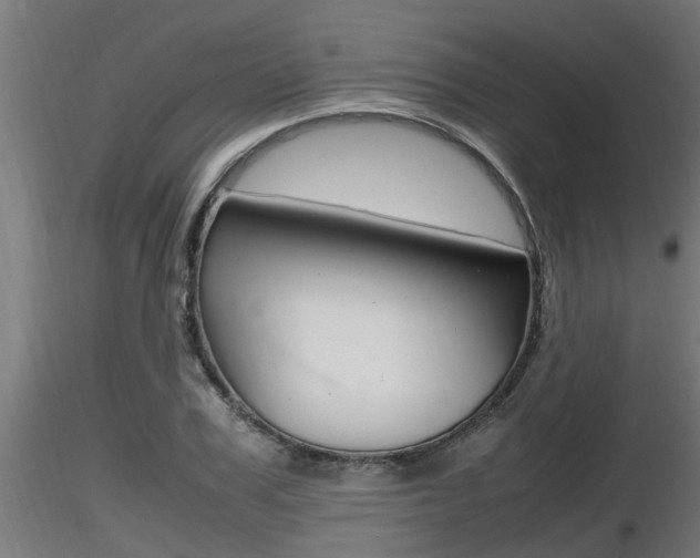 X0000116460979200912090923