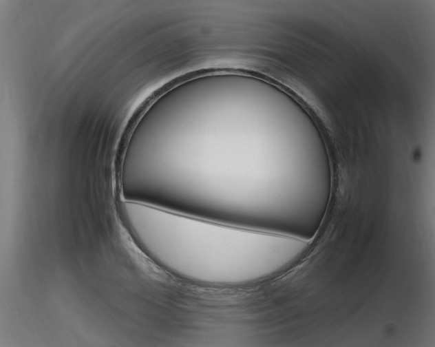 X0000116460980200912090923