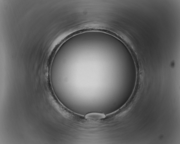 X0000116460981200912090923