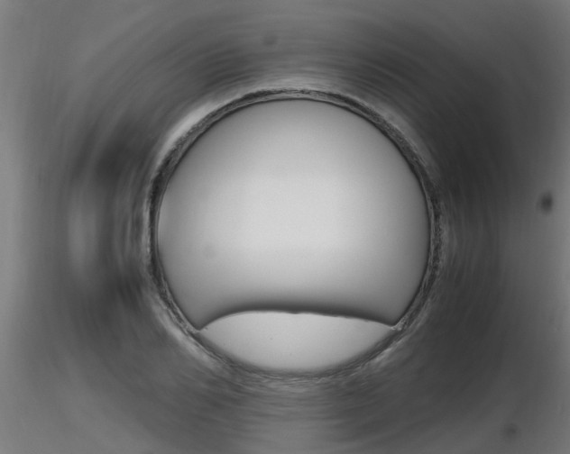 X0000116460982200912090923