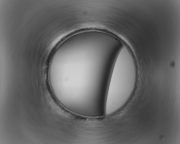 X0000116460983200912090923