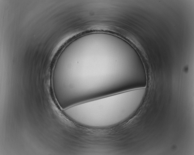 X0000116460984200912090923