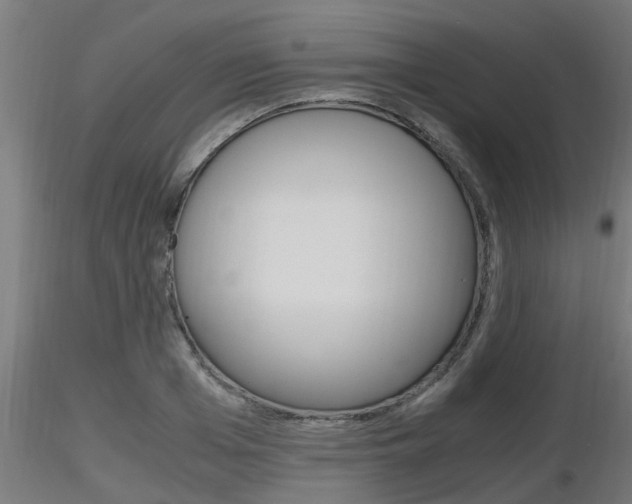 X0000116460985200912090923