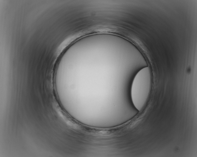 X0000116460986200912090923