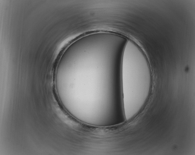 X0000116460987200912090923