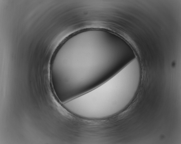 X0000116460988200912090923