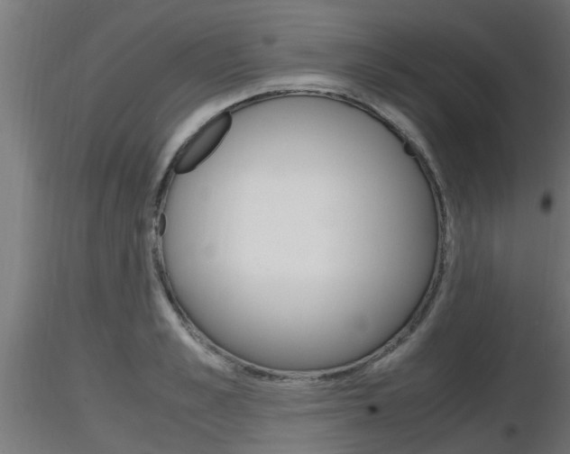 X0000116460989200912090923