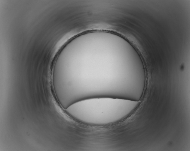 X0000116460990200912090923