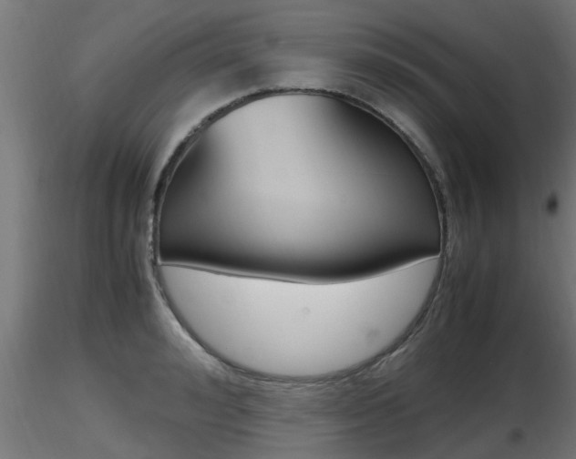 X0000116460992200912090923