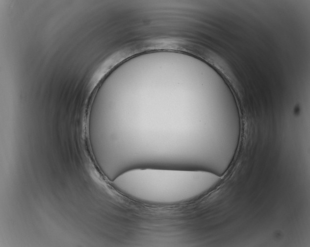 X0000116460994200912090923
