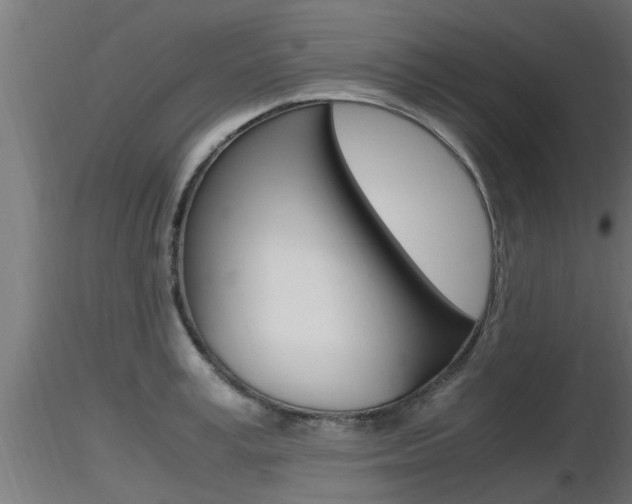 X0000116460995200912090923