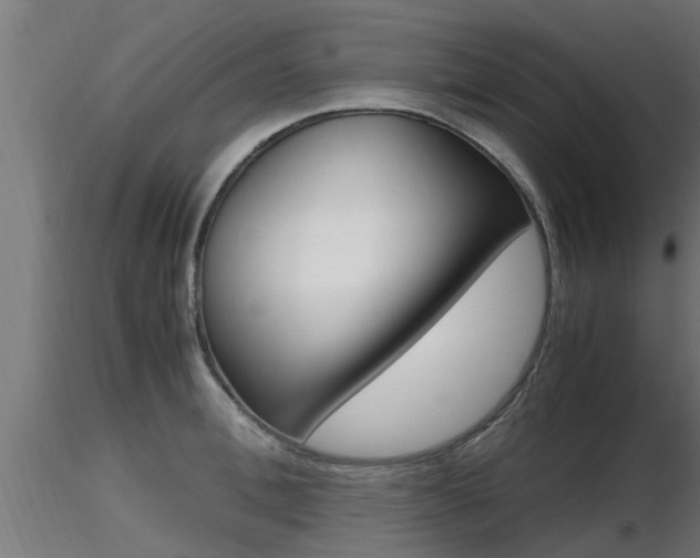X0000116460996200912090923