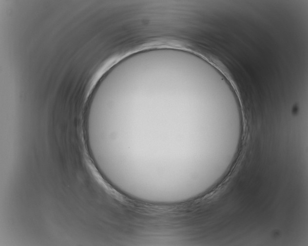 X0000116460997200912090923