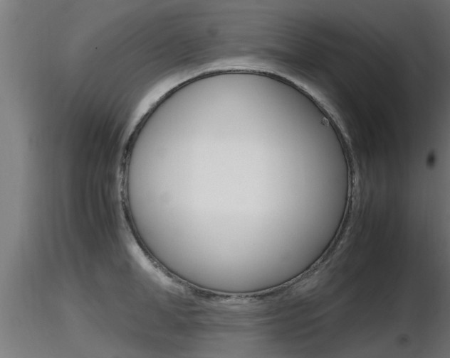 X0000116460998200912090923