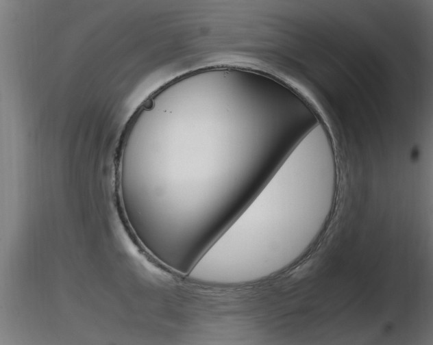 X0000116460999200912090923