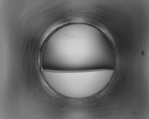 X0000116461000200912090923