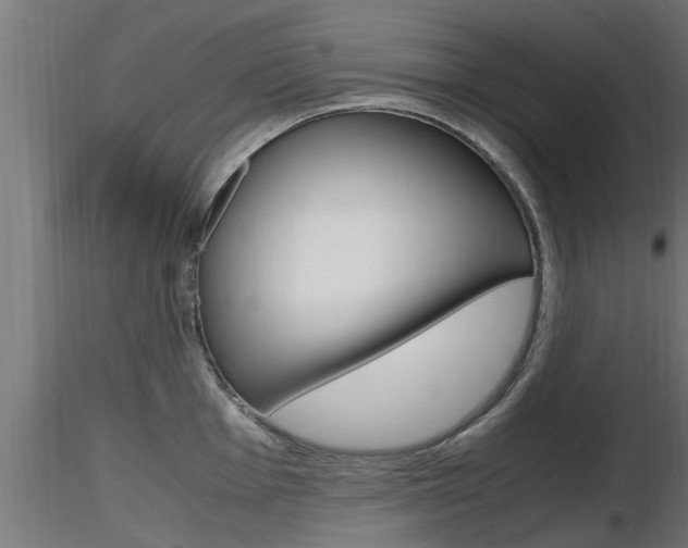 X0000116461001200912090923