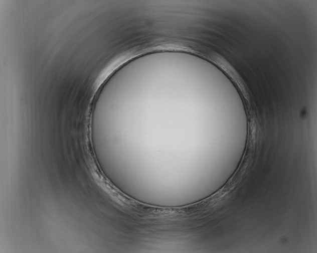 X0000116461002200912090923