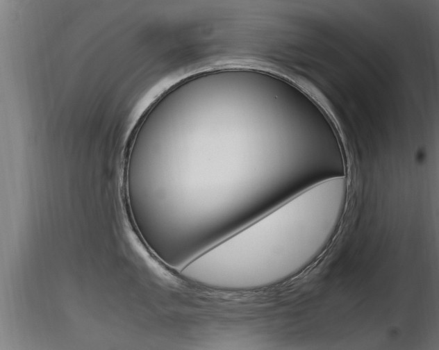 X0000116461005200912090923