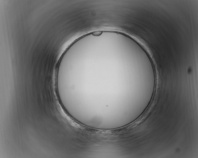 X0000116461006200912090923