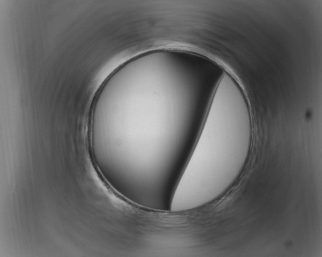 X0000116461007200912090923