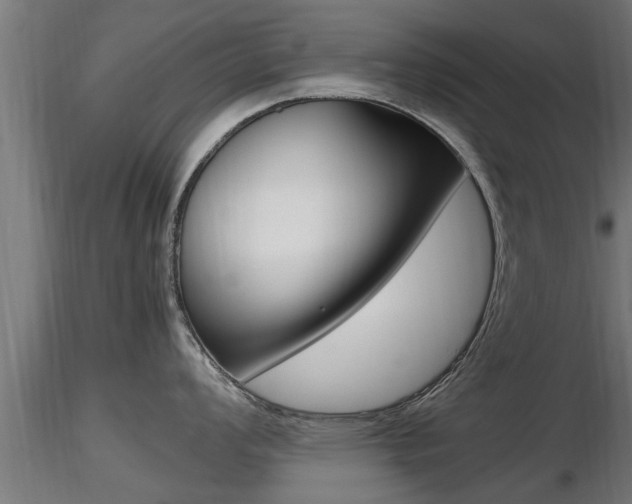 X0000116461008200912090923