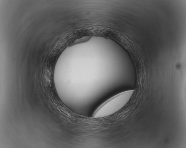 X0000116461010200912090922