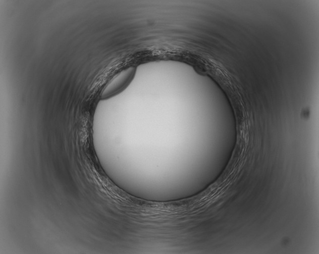X0000116461012200912090922