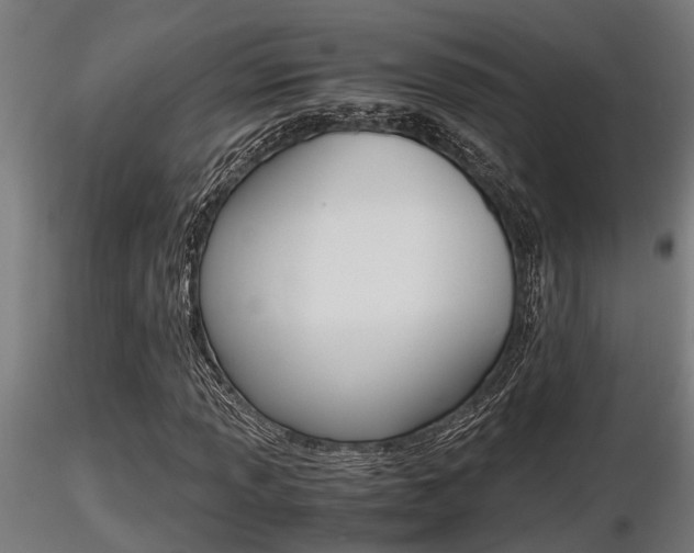 X0000116461013200912090922