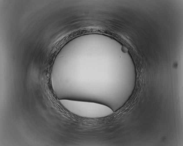X0000116461015200912090922