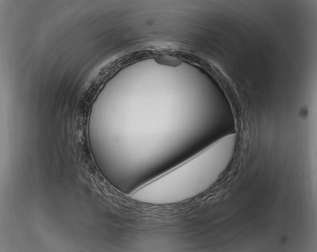 X0000116461016200912090922