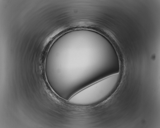 X0000116461018200912090922