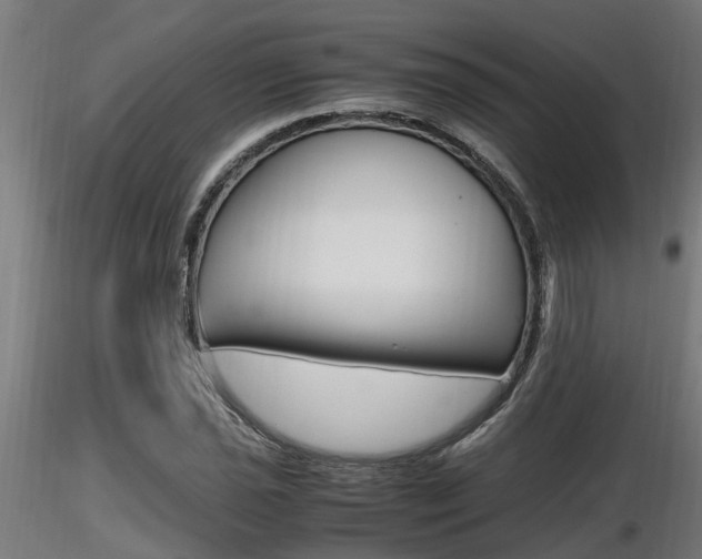 X0000116461021200912090922
