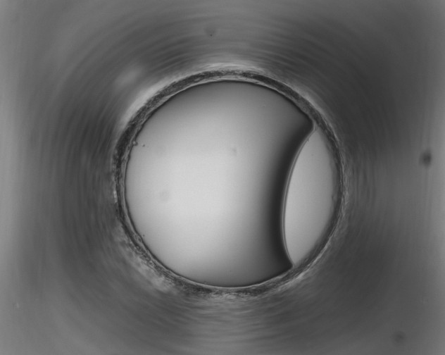 X0000116461022200912090922