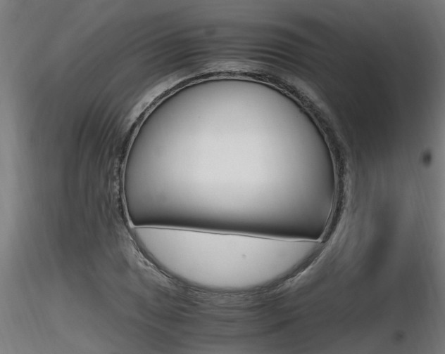 X0000116461025200912090922