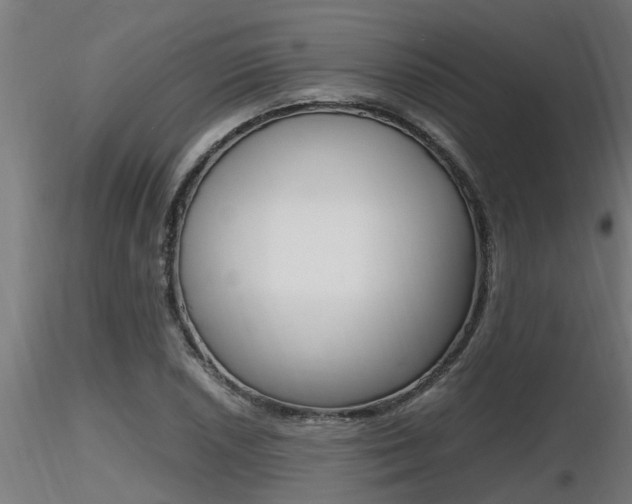 X0000116461026200912090922