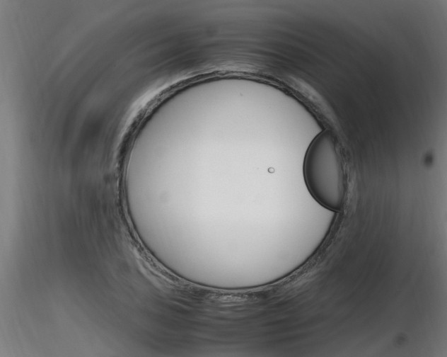 X0000116461027200912090922